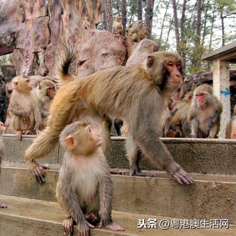 公司新闻 第87页
