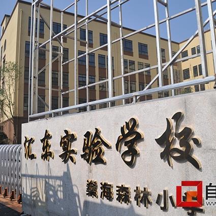 燊海森林最新动态更新