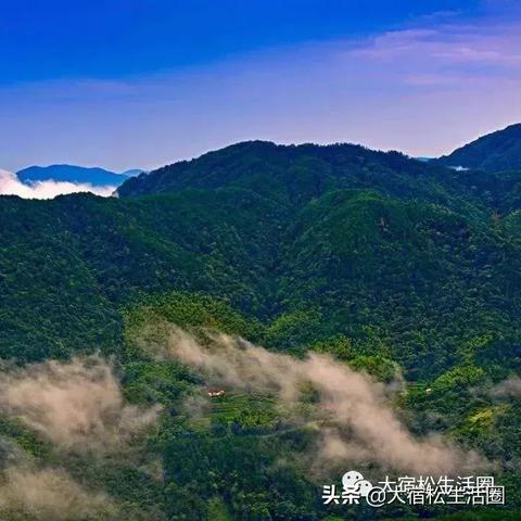 公司新闻 第44页