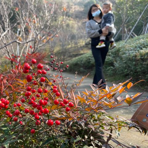 台州植物园建设最新进展报告