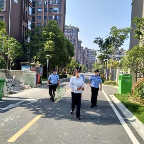 揭秘双喜现象背后的数据奇迹，最新趋势解析